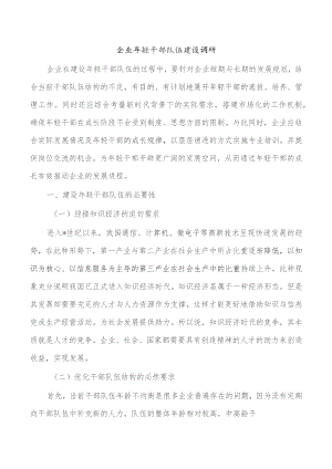 企业年轻干部队伍建设调研.docx