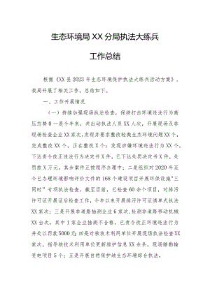 XX市生态环境局修文分局执法大练兵工作总结.docx