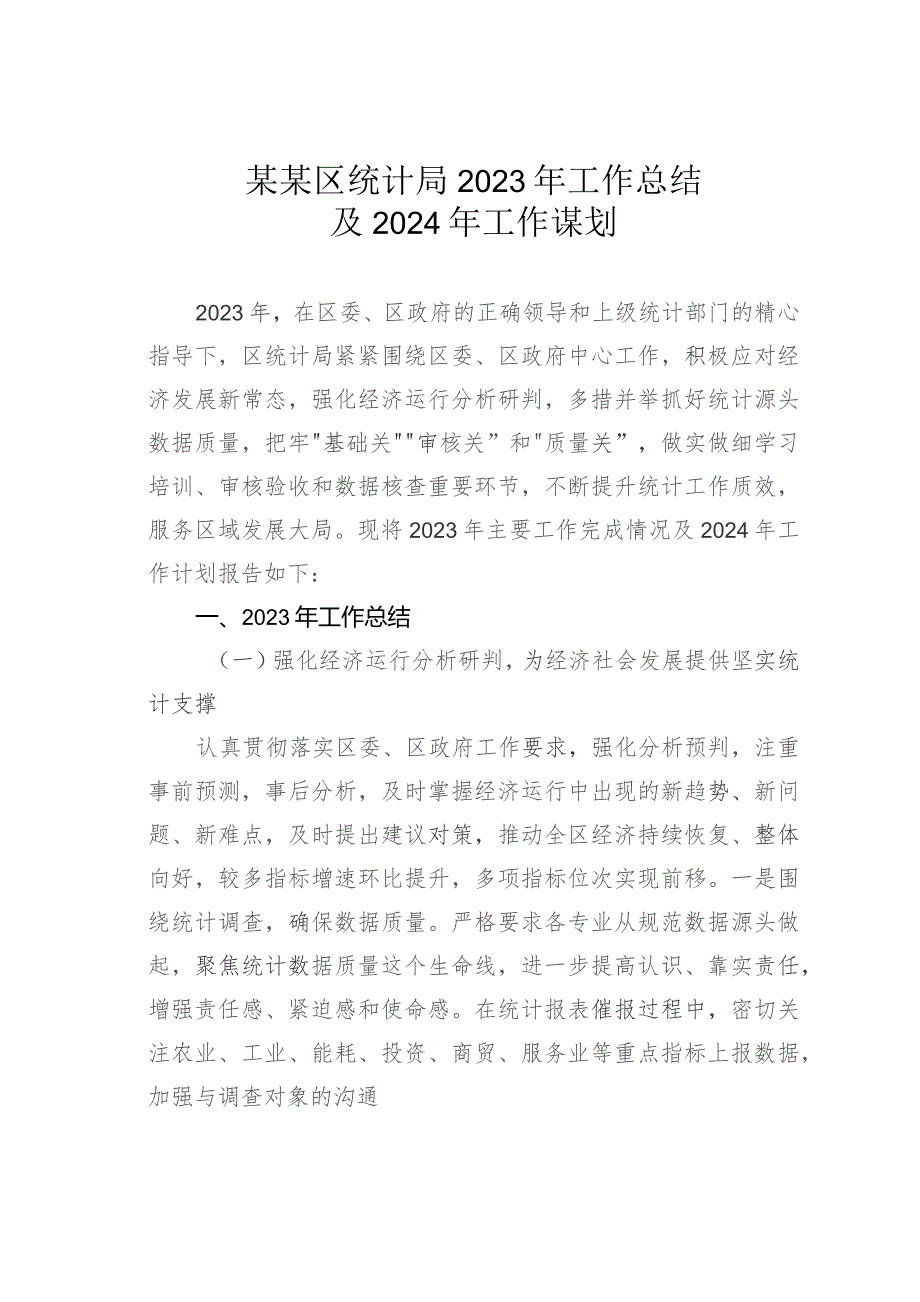 某某区统计局2023年工作总结及2024年工作谋划.docx