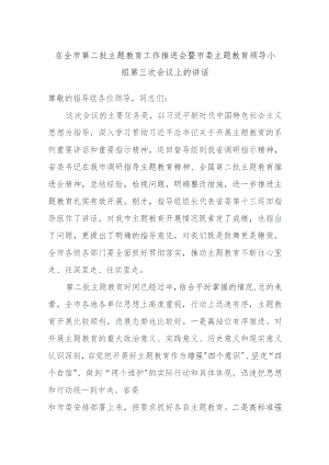 在全市第二批主题教育工作推进会暨市委主题教育领导小组第三次会议上的讲话.docx