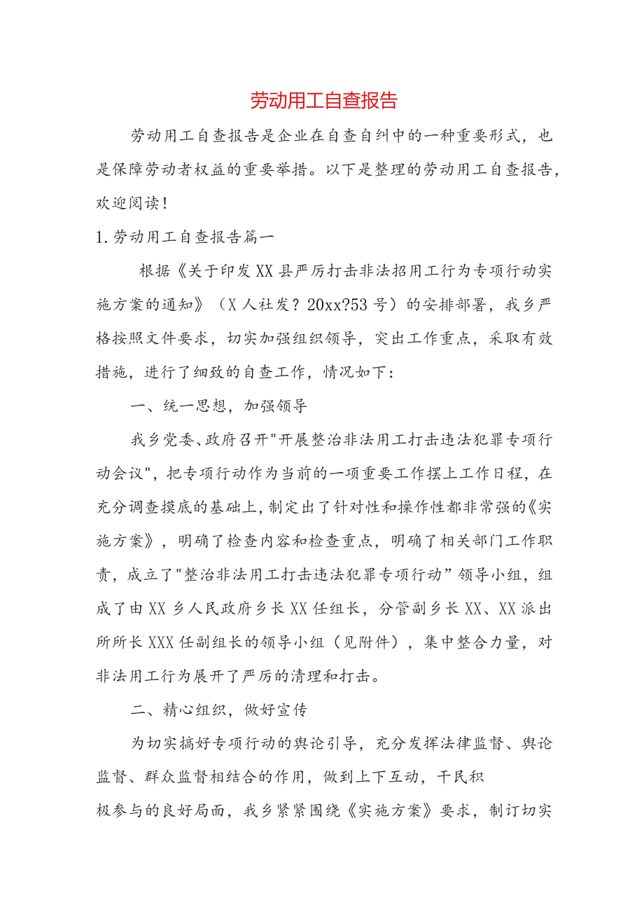 劳动用工自查报告.docx_第1页