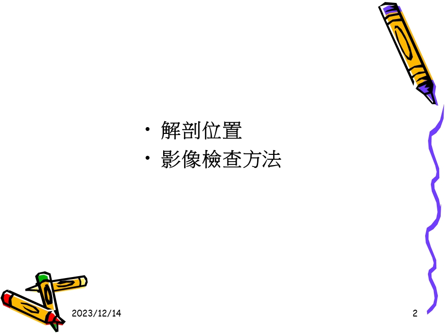 泌尿系统解剖及其影像检查方法.ppt_第2页