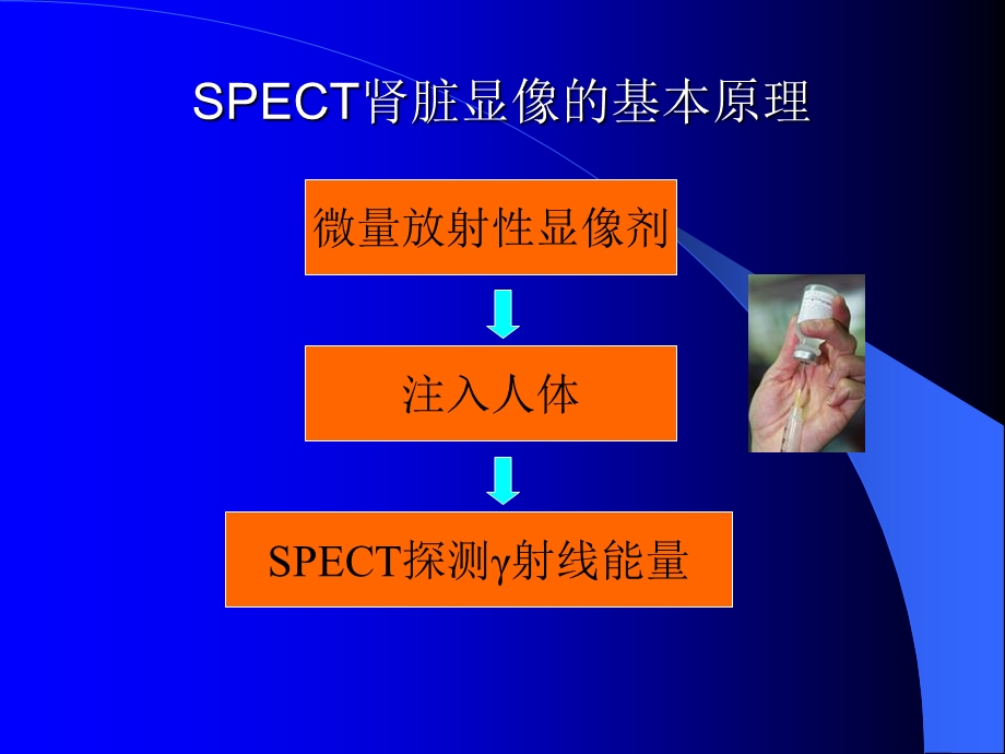 SPECT肾脏功能检测金指标诊.ppt_第2页