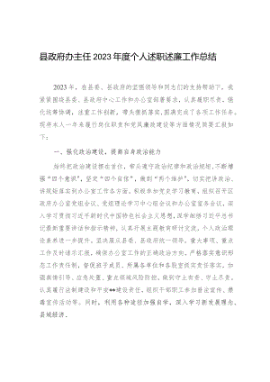 县政府办主任2023-2024年度个人述职述廉工作总结.docx