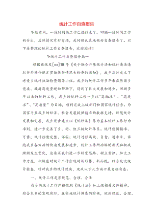 统计工作自查报告.docx