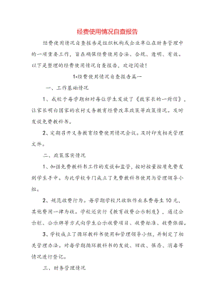 经费使用情况自查报告.docx