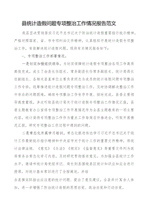 县统计造假问题整治工作报告总结汇报.docx