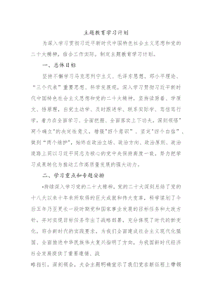 主题教育学习计划(文字).docx