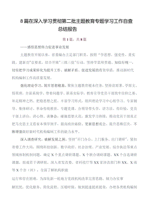 八篇第二批教育专题学习工作情况汇报.docx