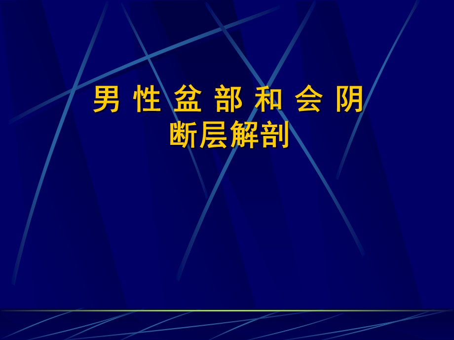 男性盆部和会阴断层解剖.ppt_第1页