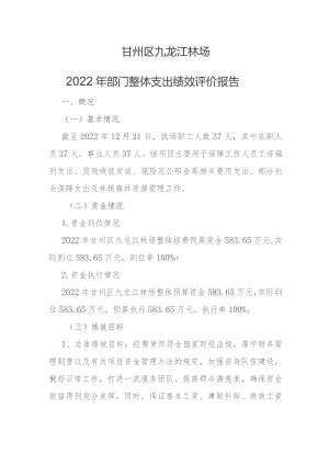 甘州区九龙江林场2022年部门整体支出绩效评价报告.docx