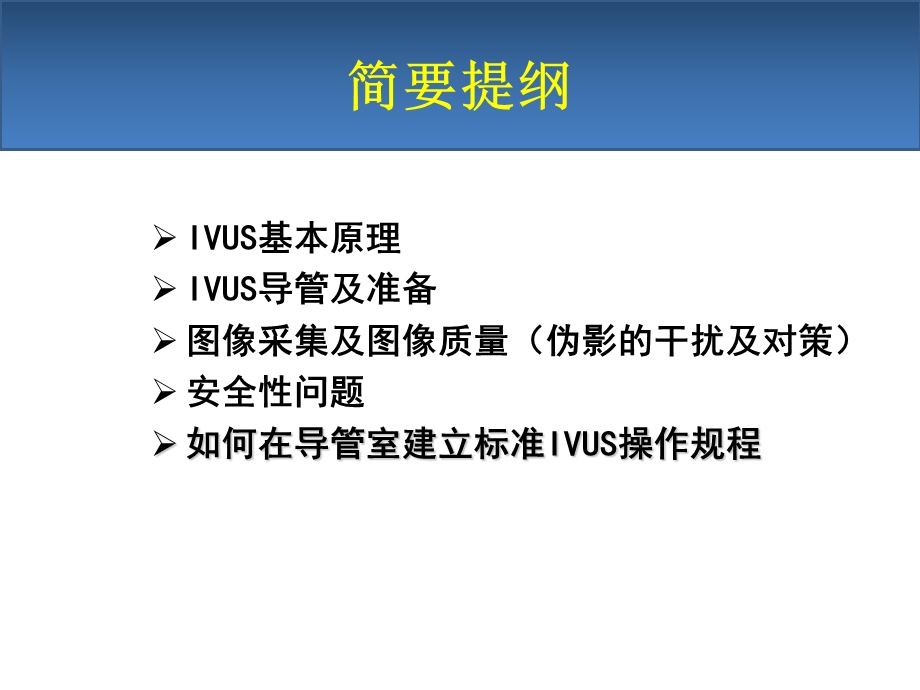 血管内超声IVUS简介.ppt_第2页