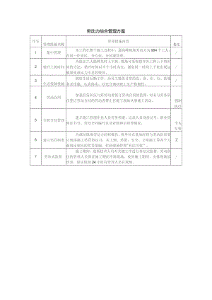 劳动力综合管理方案.docx