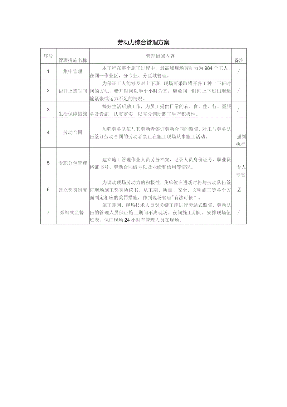 劳动力综合管理方案.docx_第1页