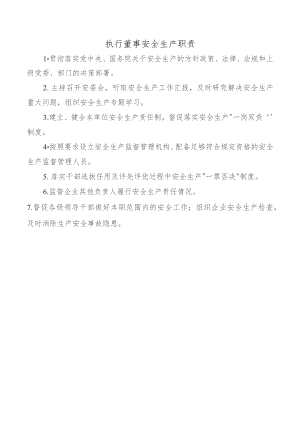 执行董事安全生产职责.docx