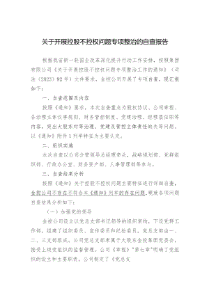 关于大股东控股不控权的自查报告.docx