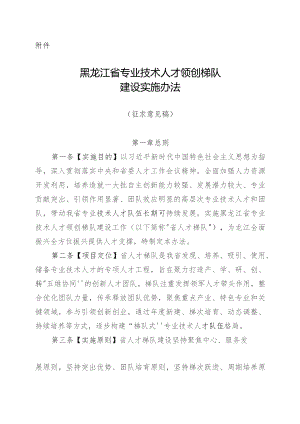 黑龙江省专业技术人才领创梯队建设实施办法（征求意见稿）.docx