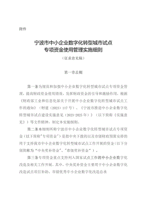 宁波市中小企业数字化转型城市试点专项资金实施细则（征求意见稿）.docx