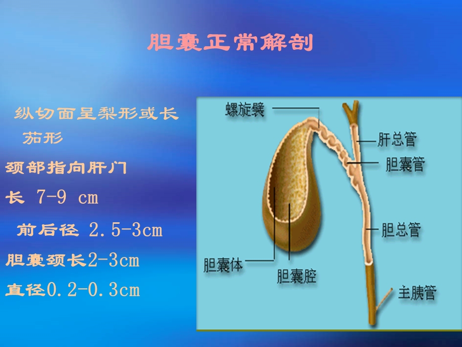 胆道系统超声诊断.ppt_第3页