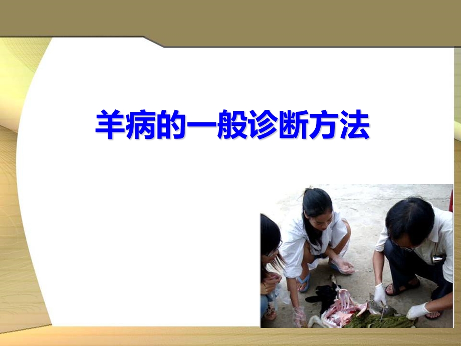 羊病诊断及防治.ppt_第3页