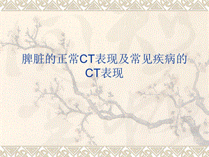 脾脏的正常与异常CT表现.ppt.ppt