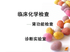 肾功能检查.ppt