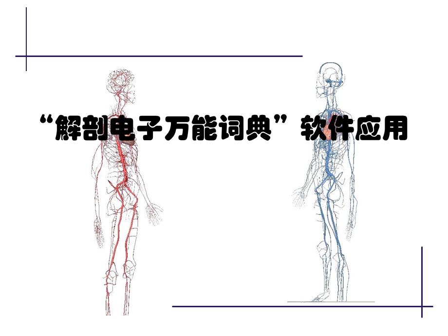 解剖电子字典.ppt_第1页