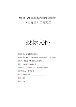 美丽乡村建设某基本农田整理项目某标段工程施工组织设计.docx