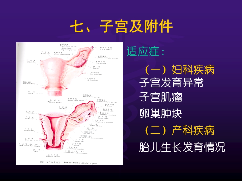 诊断学超声腹部正常妊娠讲座.ppt_第2页