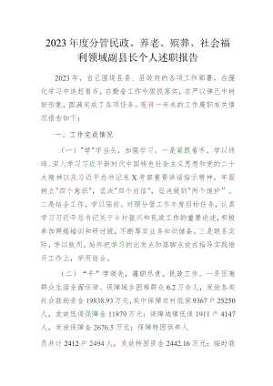 2023年度分管民政、养老、殡葬、社会福利领域副县长个人述职报告.docx