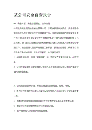 某公司安全自查报告.docx