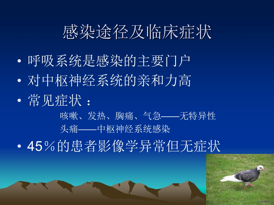 肺隐球菌病的CT诊断.ppt_第3页