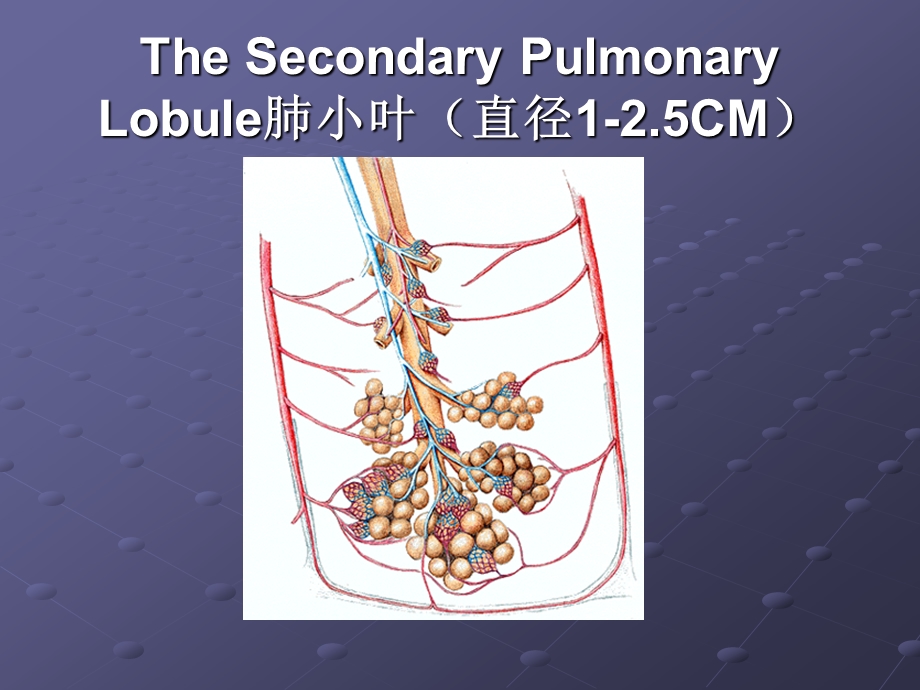 胸部常见CT征象认读ppt.ppt_第2页