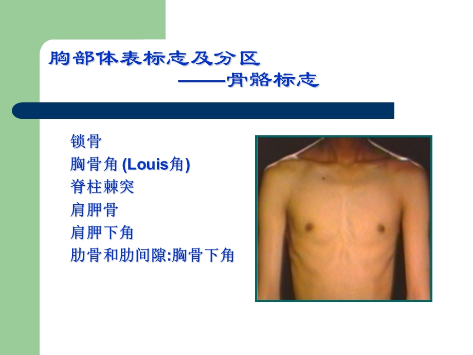 胸部检查（1） .ppt_第2页