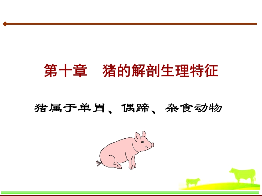 第十章猪的解剖生理特征.ppt_第1页