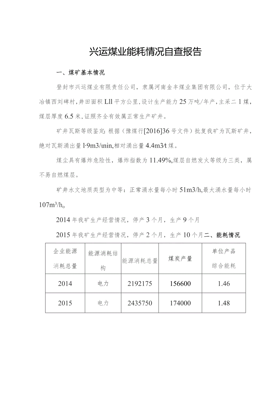 兴运煤业能耗情况自查报告.docx_第2页