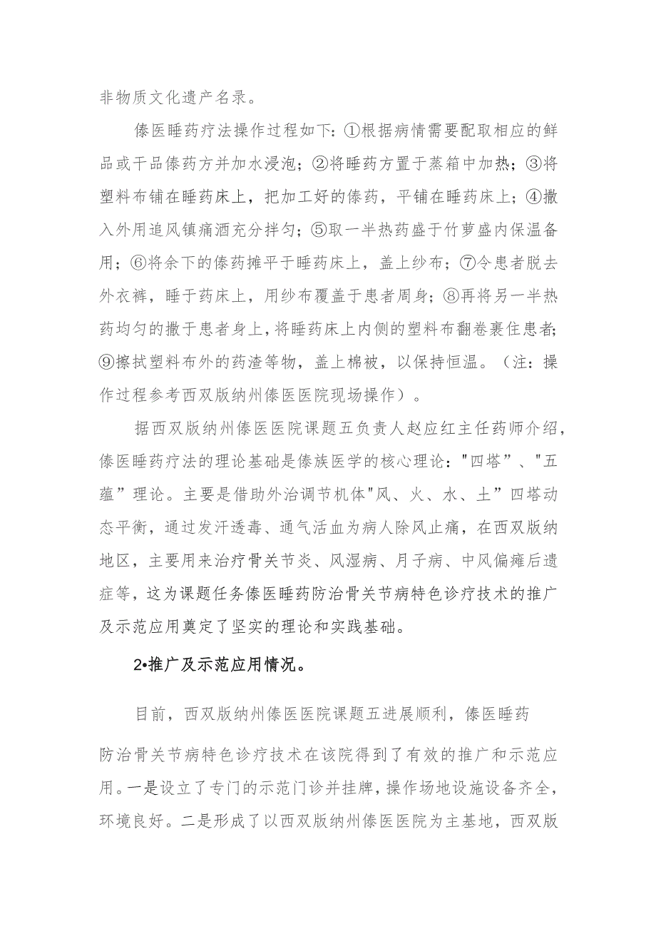 XX研发计划民族医防治常见病的特色诊疗技术推广及示范应用督导交流报告.docx_第2页