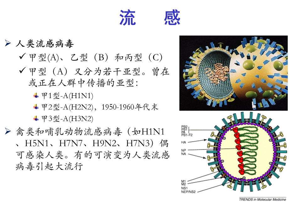 中国流感防控现状和挑战.ppt_第3页