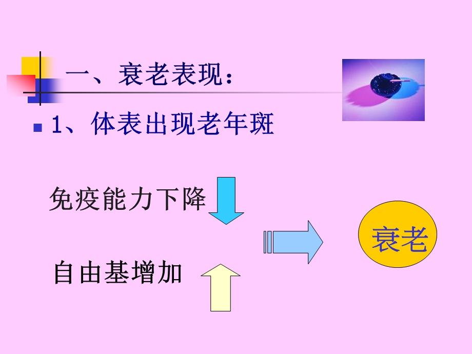 [精品]老营养保健常识讲座.ppt_第3页