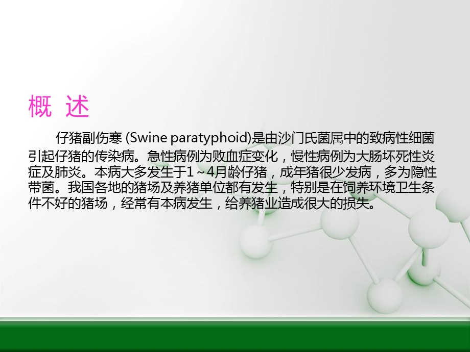 仔猪副伤寒症状图谱慢性.ppt_第2页