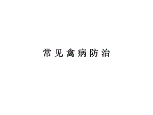 常见禽病防治.ppt