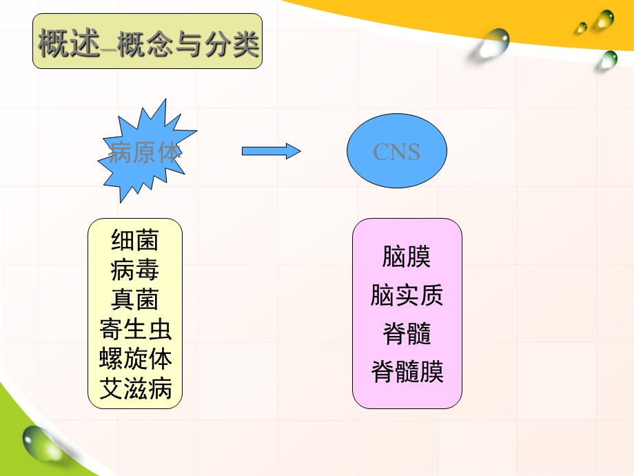 中枢神经系感染PPT幻灯片.ppt_第2页