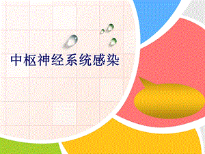 中枢神经系感染PPT幻灯片.ppt