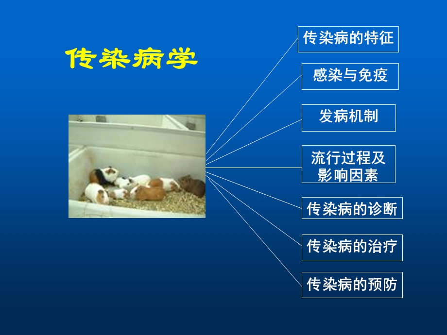 传染病总论.ppt_第2页