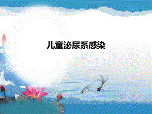 泌尿系感染.ppt