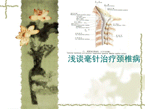 [资料]浅谈针灸治疗颈椎病.ppt