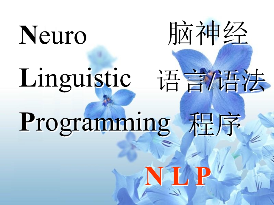 NLP技术与简快疗法.ppt_第2页