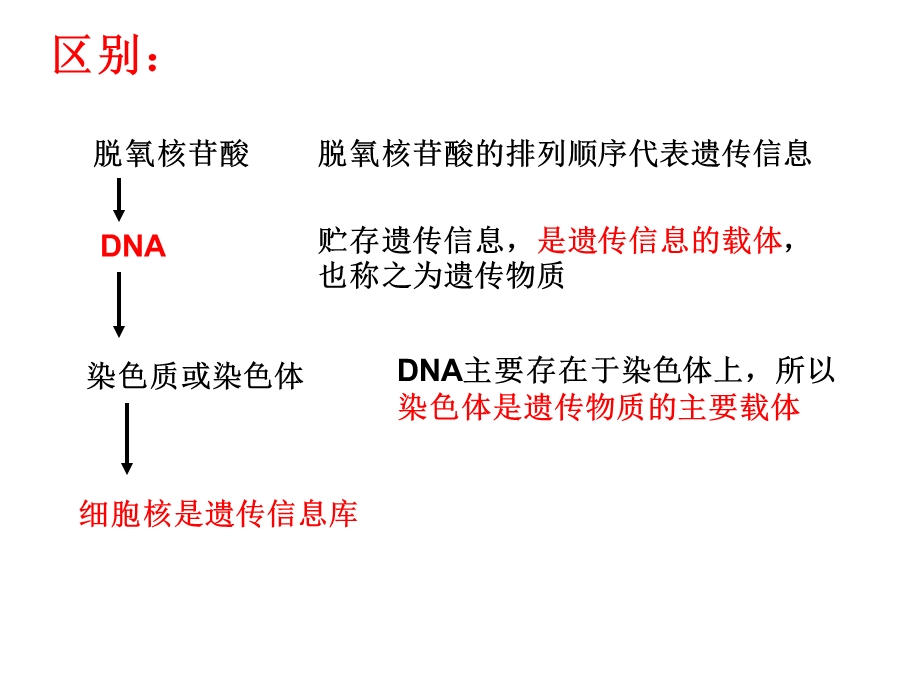 系统的控制中心细胞核.ppt_第3页