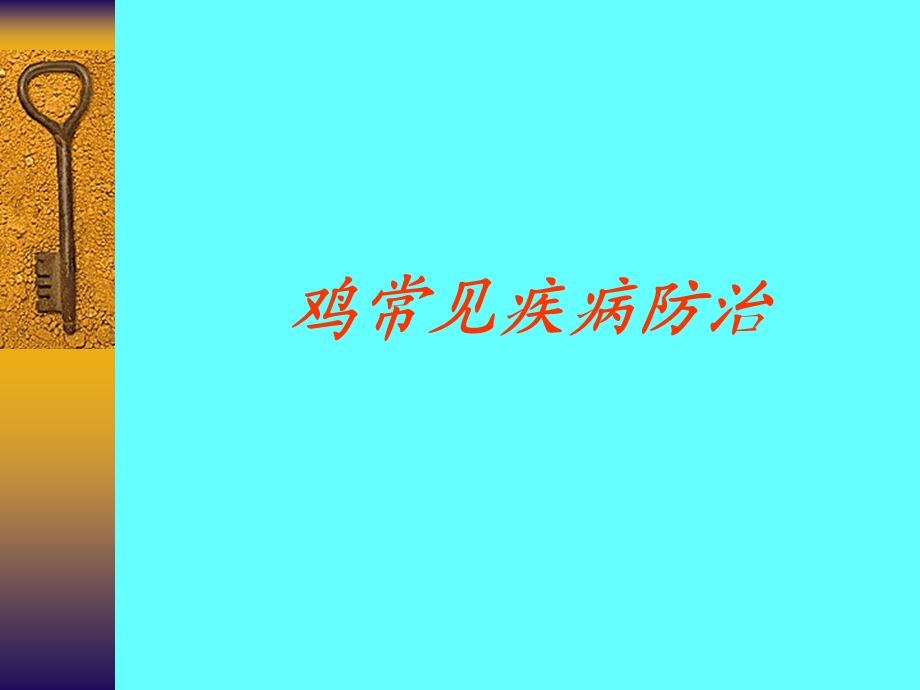 鸡常见疾病防治.ppt_第1页