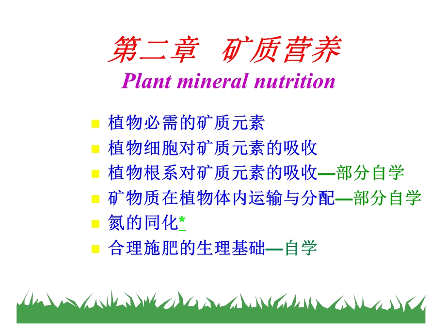 矿质营养.ppt_第1页